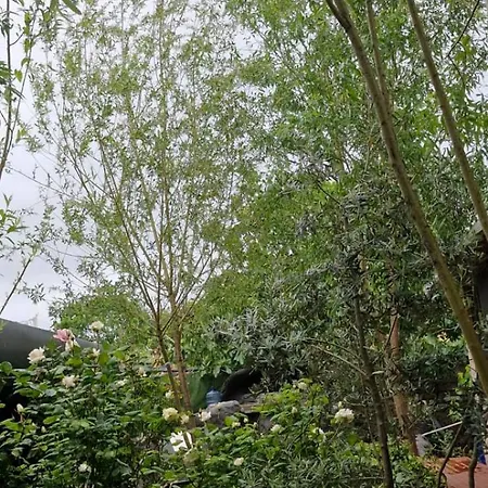 Royal Park Corlu * تِكيِرداغ