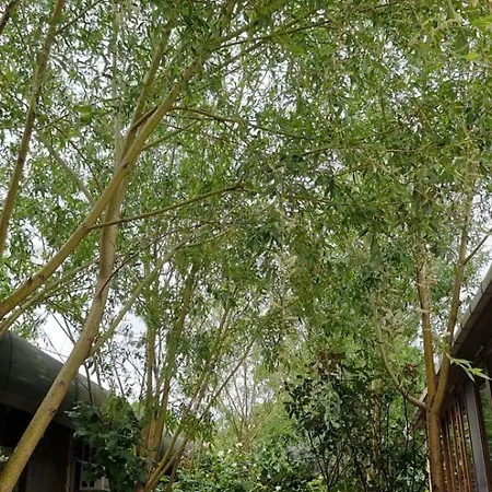 Szálloda Royal Park Corlu